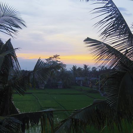 Eden House Ubud Buitenkant foto