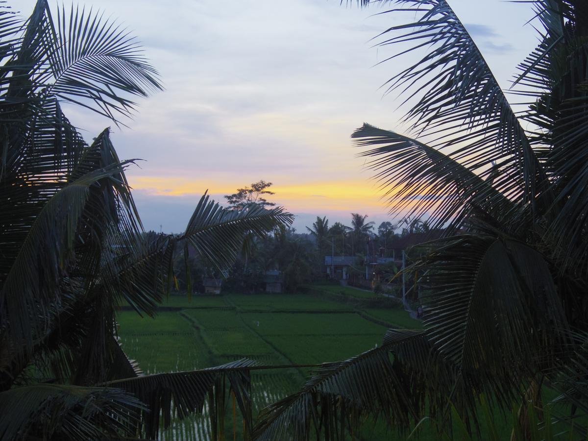 Eden House Ubud Buitenkant foto