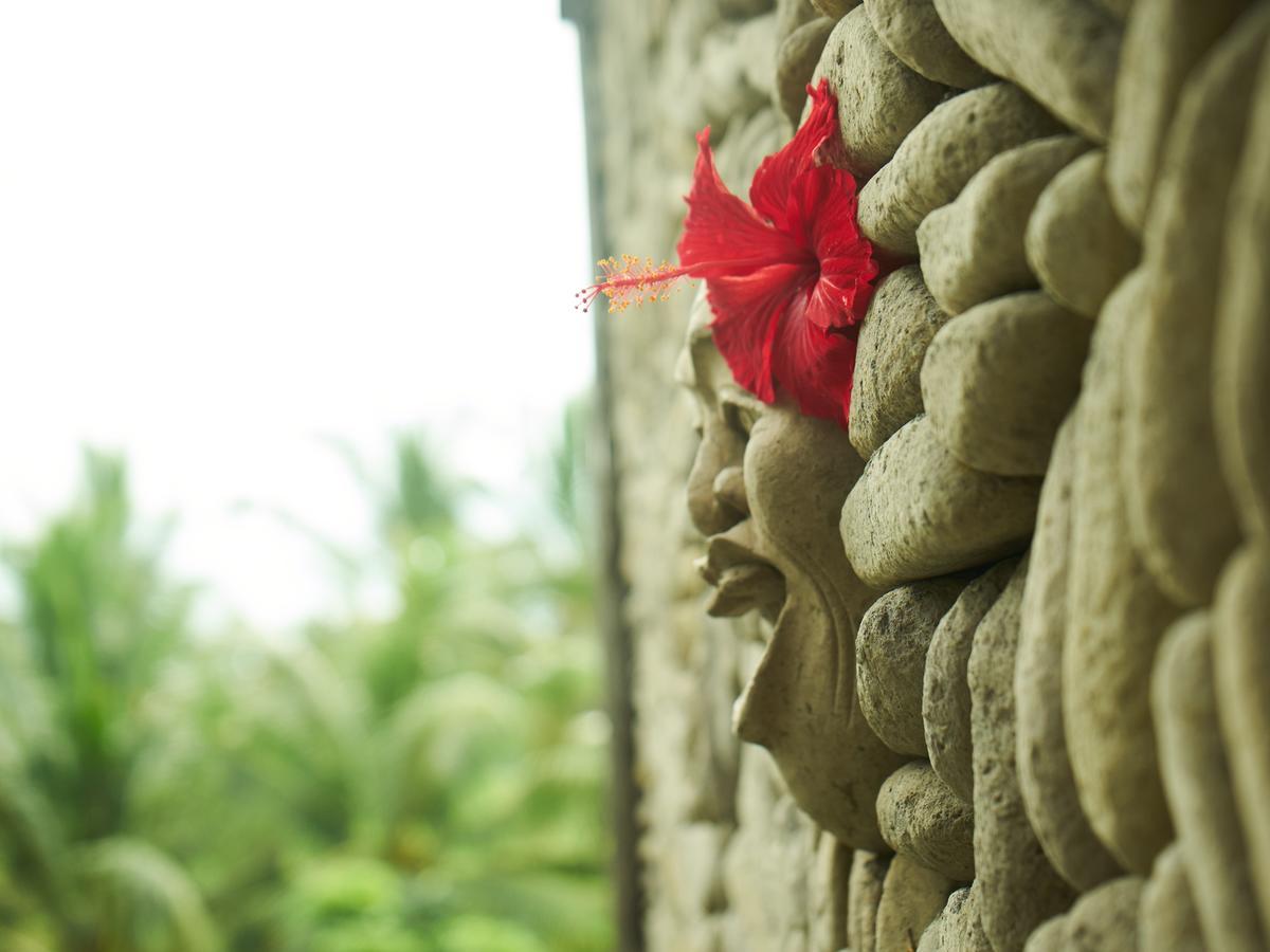 Eden House Ubud Buitenkant foto