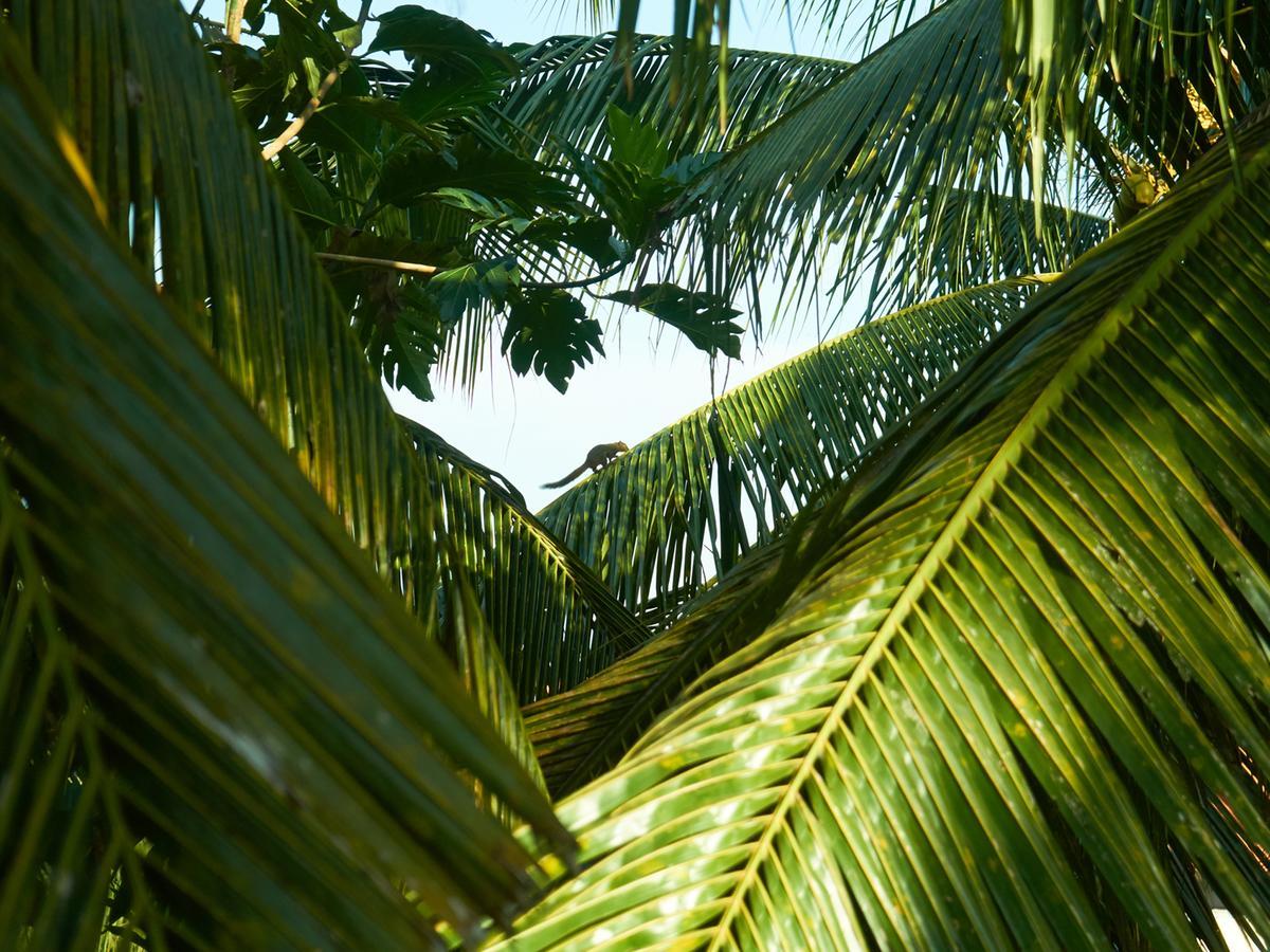 Eden House Ubud Buitenkant foto